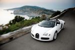 Bugatti Veyron 16.4 Grand Sport Roadster 2008 года